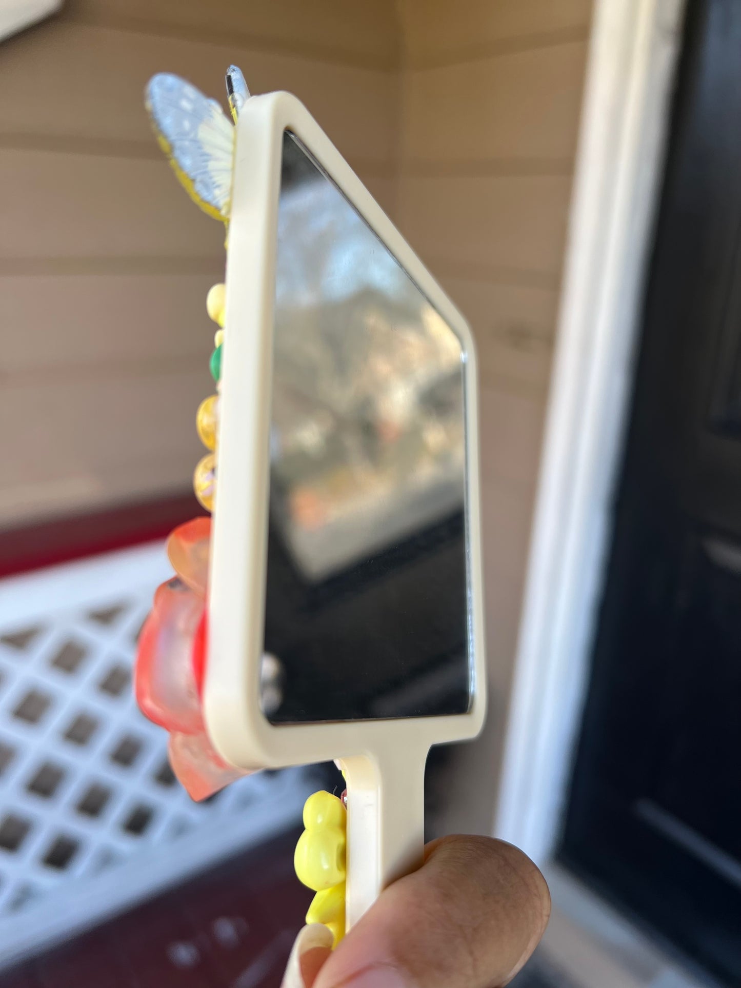 Springtime Mirror